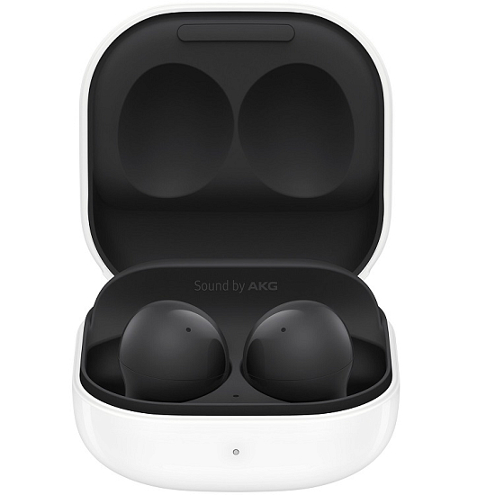 Наушники Samsung Galaxy Buds 2 (SM-R177) графитовый
