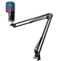 Микрофон RITMIX RDM-278 USB Gaming Black