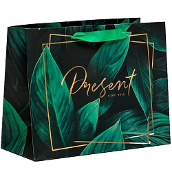 Пакет «Present for you», ML 27 х 23 х 11.5 см