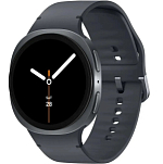 Умные часы Samsung Galaxy Watch 8 44мм графитовый LTE