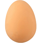 Игрушка "Прыгающее яйцо" для собак, 5,5 см 897823