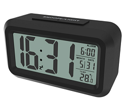 Метеостанция RITMIX CAT-100 BLACK