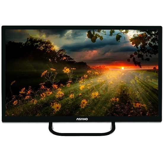 Телевизор ASANO 24LH1110T 24" LED (2019), черный