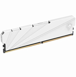 Оперативная память DDR4 16Gb NETAC 3200MHz, CL16, DIMM, с радиатором, белый (NTSSD4P32SP-16W)