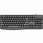 Клавиатура ACER OKW301 черный USB (ZL.KBDCC.01A)