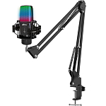 Микрофон RITMIX RDM-270 Black