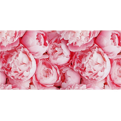 Конверт для денег «Пионы», 16.5 х 8 см 10363109