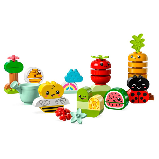 Конструктор LEGO DUPLO 10984 Органический сад