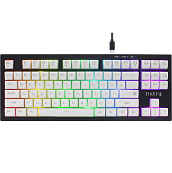 Клавиатура DEFENDER Harpie GK-401 RU,чер/бел,87кн+FN,радуж