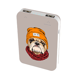 Внешний АКБ RITMIX RPB-10007 (10000mAh) Bulldog
