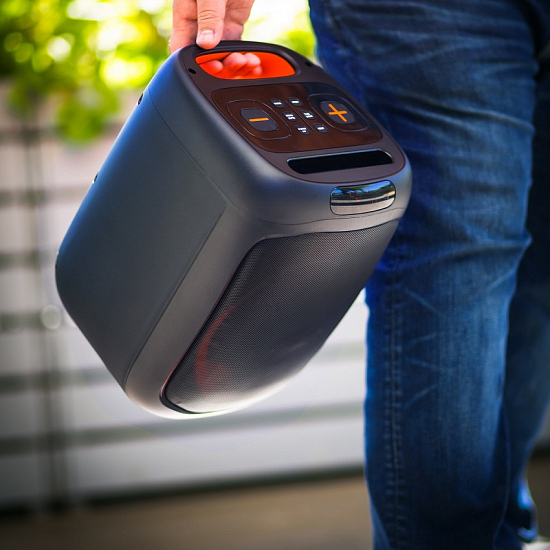 Колонка портативная SMARTBUY CHARISMA, 50Вт