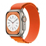 Нейлоновый ремешок HOCO WA20 для APPLE Watch 42/44/45/49mm, золотой