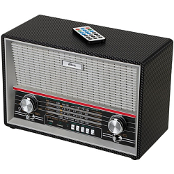 Радиоприёмник RITMIX RPR-102 карбон