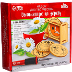 Набор для творчества. Выжигание по дереву «Подставки под горячее» 7335391
