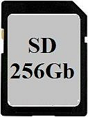 SD 256Gb