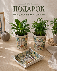 Набор кашпо бежевые цветы 2 шт. + салфетница бежевая 1 шт. (уп.18х13х13)