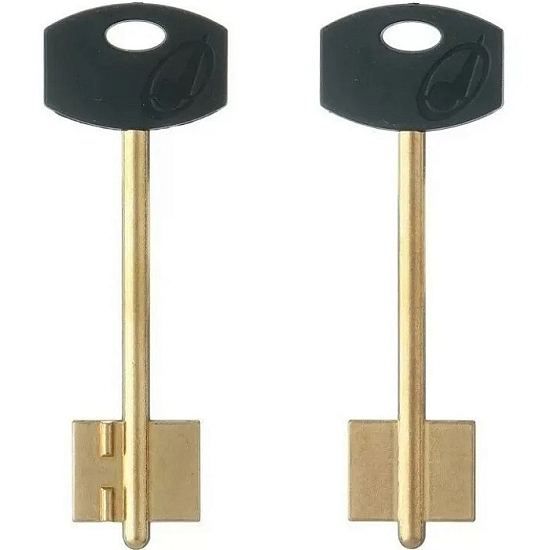 Заготовка ключа НПО-МАШ-2 93*22*17,4 мм, лат., с пластиком, б/п