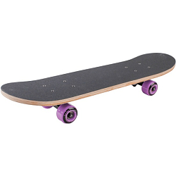 Скейтборд TECH TEAM Profi 1/6 TSL-2406