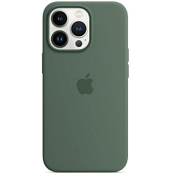 Силиконовый чехол SILICONE CASE MagSafe для iPhone 13 PRO №12 Eucalyptus (+АНИМАЦИЯ в цвет чехла)