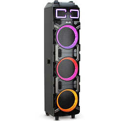 Колонка портативная 10" ELTRONIC (30-17 CRAZY BOX)