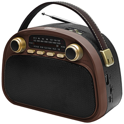Радиоприёмник RITMIX RPR-040 CHOCOLATE