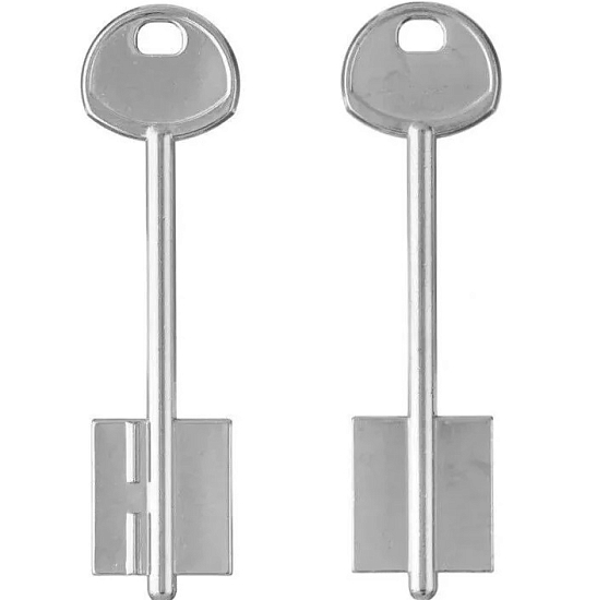 Заготовка ключа Гардиан-3 96*22,4*24,6 мм, лат.